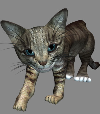 Kitty Cat Mesky