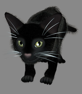 Kitty Cat Blackie