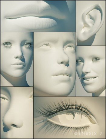 Genesis 2 Female Head Morphs©DAZ 3D