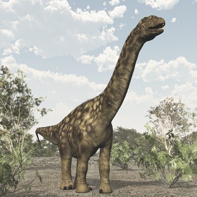 Argentinosaurus