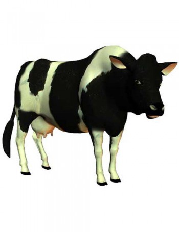 Cow