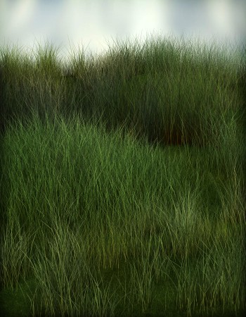 grassy-grounds-megapack