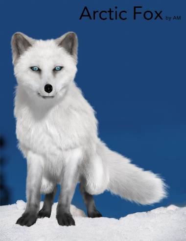 arctic-fox-by-am