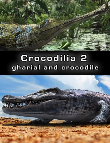 gharial-and-crocodile
