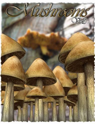 rdna-mushrooms-vol-3