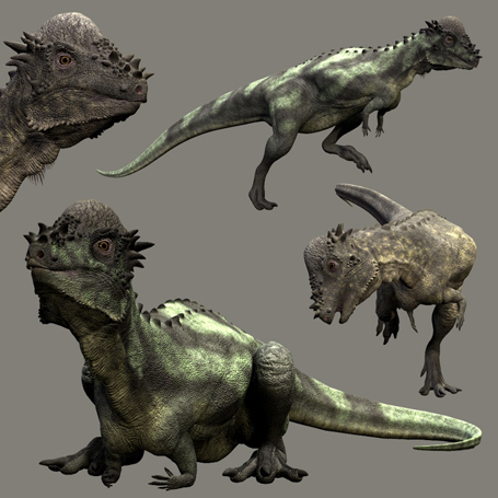 PachycephalosaurusDR