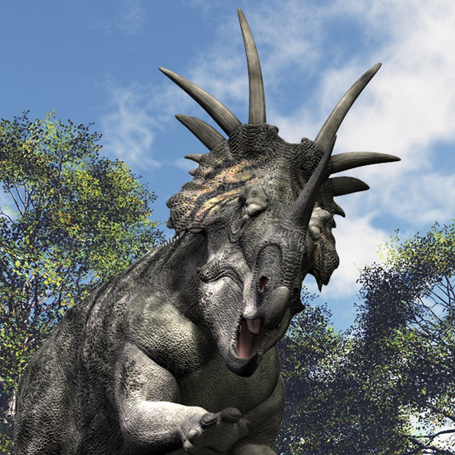 StyracosaurusDR