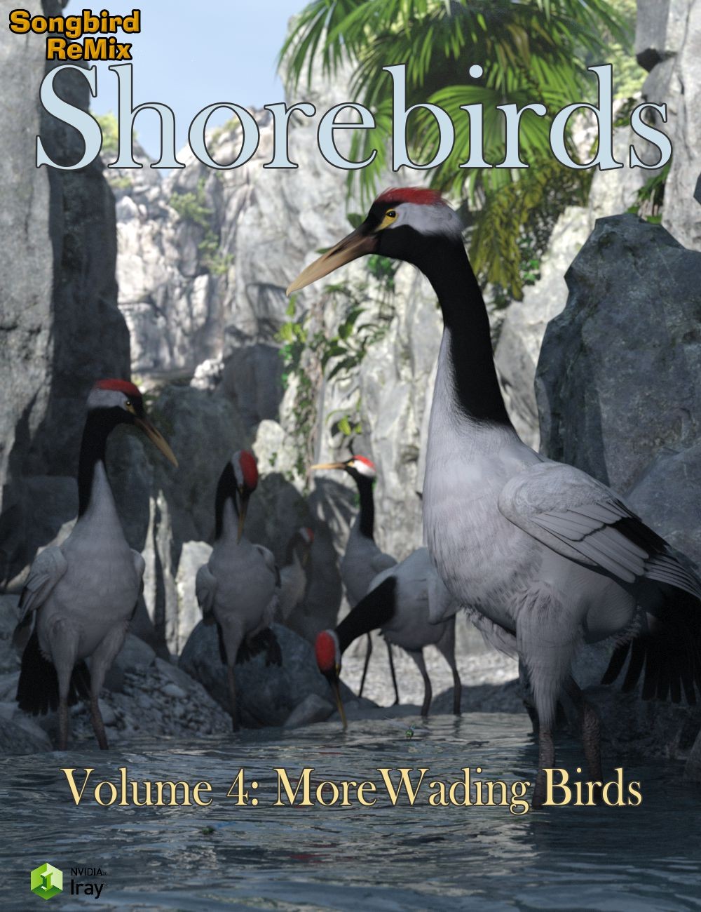 SBRM Shorebirds Vol 4 - More Wading Birds