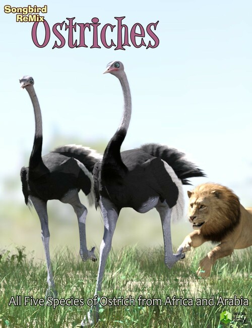 SBRM Ostriches