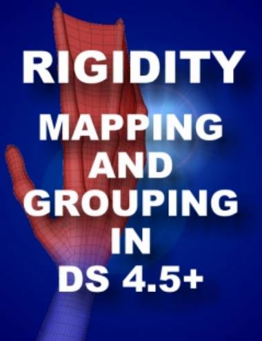 Rigidity Grouping and Mapping in DS 4.5+