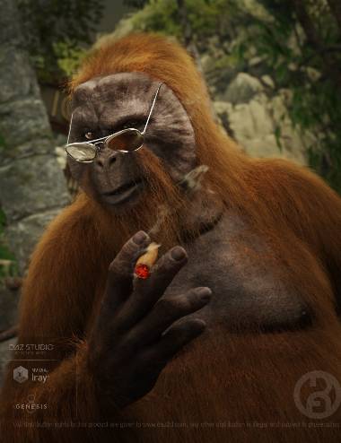 Ape World Orangutan with dForce Hair for Genesis 8 Male