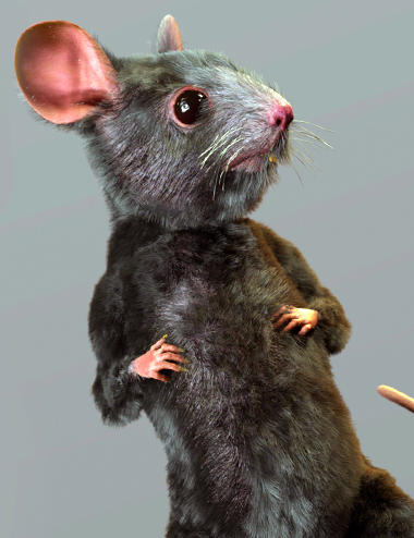 Storybook Mouse for Genesis 8.1 Males