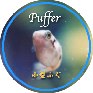 Puffer