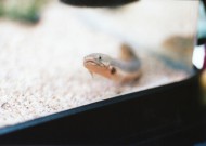 こんにちは！
