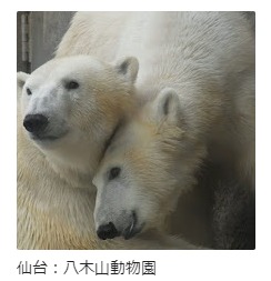 仙台:八木山動物園